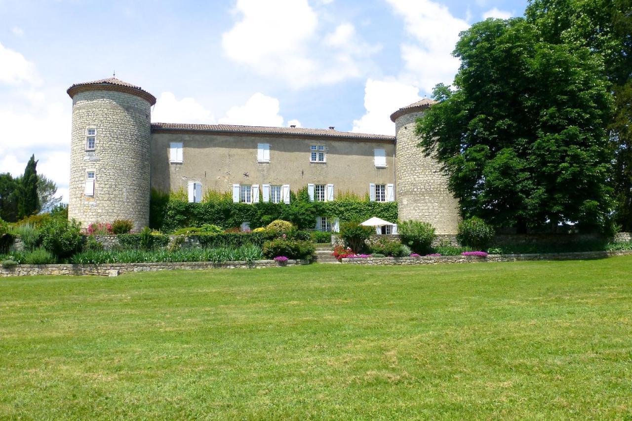 Gites Chateau De La Selve Гроспиер Екстериор снимка